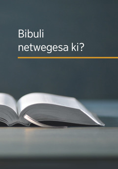 Ekitabo ‘Bibuli netwegesa ki?