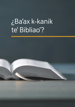 Le libro ¿Baʼax k-kanik teʼ Bibliaoʼ?