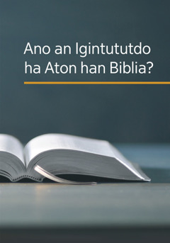 An libro nga ‘Ano an Igintututdo ha Aton han Biblia?’