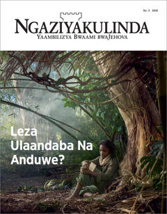 “Ngaziyakulinda” No. 3 2018.