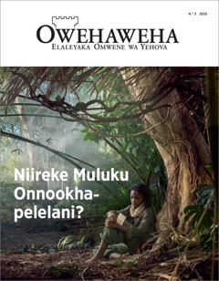 “Owehaweha” N.° 3 2018.