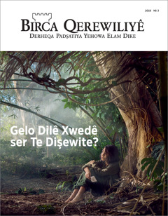 “Birca Çavdêriyê” No. 3 2018.