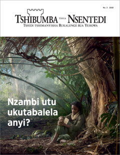 “Tshibumba tshia Nsentedi” No. 3 2018.