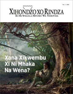 “Xihondzo Xo Rindza” No. 3 2018.