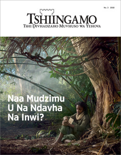 “Tshiingamo” tsha No. 3 2018.