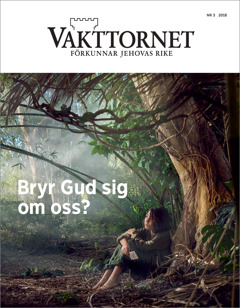 Vakttornet nr 3 2018.