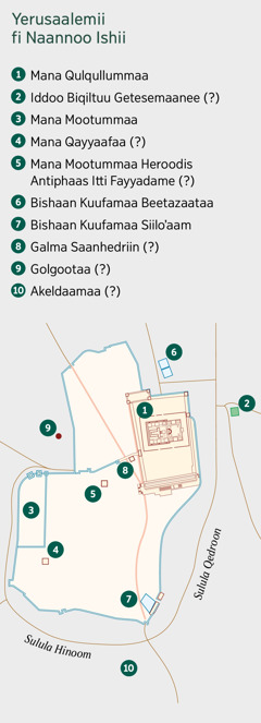 Kaartaa Yerusaalemii fi naannoo ishii argisiisu. Iddoowwan sirriitti beekamanii fi sirrii taʼuun isaanii hin mirkanoofne. 2. Iddoo Biqiltuu Getesemaanee. 3. Mana Mootummaa. 4. Mana Qayyaafaa. 5. Mana Mootummaa Heroodis Antiphaas Itti Fayyadame. 6. Bishaan Kuufamaa Beetazaataa. 7. Bishaan Kuufamaa Siiloʼaam. 8. Galma Saanhedriin. 9. Golgootaa. 10. Akeldaamaa.