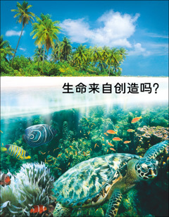 册子的封面，标题是：《生命来自创造吗？》。