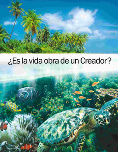 An folleto «¿Es la vida obra de un Creador?».