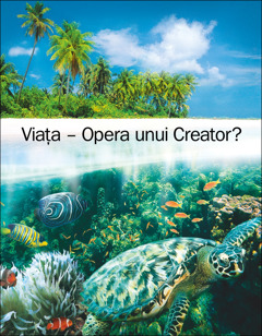 Broșura „Viața – Opera unui Creator?”