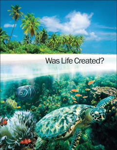Buklet “Was Life Created?”