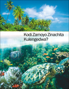Kabuku kakuti “Kodi Zamoyo Zinachita Kulengedwa?”