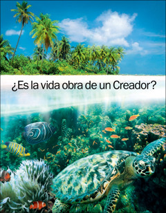 Aju folleto «¿Es la vida obra de un Creador?».