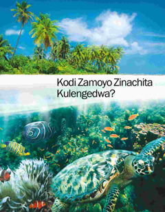 Kabulosha ka “Será Que A Vida Teve Um Criador?”