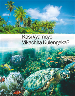 Burosha la mutu wakuti “Kasi Vyamoyo Vikachita kulengeka?”