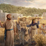 Israelites joyfully gathering a bountiful wheat harvest.