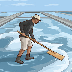 Un hombre trabaja para extraer la sal del agua de mar.
