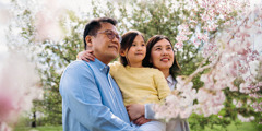 Parents with their young daughter admiring the blossoms on a cherry tree.