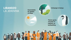 Vanhu va titanga ni midhawuko yo hambanahambana. Mifota: Lezvi Jehovha a kombisisako zvona lirandzo li nga mbheliko. 1. Kuwonekela ka gambo ni vhula. 2. Zvitsangi ni tisinya. 3. Thomo ga ku vhuneka hi hakhelo ya kutlhatlhisa.