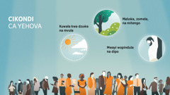 Anthu a zaka ndi zikhalidwe zosiyana-siyana. Zithunzi: Njila zimene Yehova amationetsela cikondi. 1. Kuwala kwa dzuŵa na mvula. 2. Maluŵa, zomela, na mitengo. 3. Mwayi wopindula na dipo.