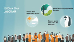 Mauri lagani bona bese idauidau taudia. Laulau: Iehova ena lalokau ia hahedinaraia daladia. 1. Dina ia diari bona medu ia diho. 2. Flaoaflaoa, tubutubu gaudia, bona au. 3. Boubou gauna amo namo ita abia diba.