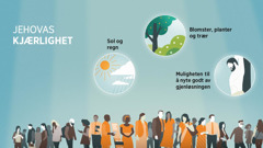 Mennesker med forskjellig alder og bakgrunn. Bildeserie: Uttrykk for Jehovas kjærlighet. 1. Sol og regn. 2. Blomster, planter og trær. 3. Muligheten til å nyte godt av gjenløsningen.