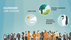 Abandu aba fyinja ifyakukindanakindana naba luko ulwa kukindanakindana. Ikithuzi: Muno Yehova ikunangisyala ulughano. 1. Isuba ni fula. 2. Amaluba, ifyakumela ni mipiki. 3. Tukusayiwa panongwa ya kitabulilo.