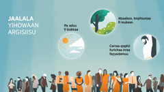 Namoota akkaataa jireenyaa fi umurii garaa garaa. Fakkiiwwan garaa garaa: Jaalala Yihowaan argisiisu. 1. Ifa aduu fi bokkaa. 2. Abaaboo, biqiltootaa fi mukeen. 3. Carraa qophii furichaa irraa fayyadamuu.