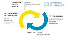 Kisary misy filesy roa manao antsasaka faribolana mampiseho ny antony mahatonga ny olona hifankahala. 1) Fanazavana diso, ohatra hoe avy amin’ny namana, tambazotran-tserasera, ary vaovao. 2) Tsy fahalalana ny kolontsain’ny hafa, ny fiaviany, na ny fivavahany. 3) Tahotra fiovana, sao ho very fananana, na an’izay hitranga. 4) Fankahalana, anisan’izany ny fitsarana an-tendrony, fanavakavahana, ary herisetra.