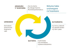 Igicapo kiriko imyampi ibiri isa n’iyinjiranamwo, yerekana ibituma haba urukwegane rw’inzankano. 1. Amakuru y’ikinyoma arimwo ayava mu bantu, ku mbuga hwaniro, no mu bimenyeshamakuru. 2. Kutamenya ivy’imico y’abandi, ivy’ubwoko bwabo, canke ivy’idini ryabo. 3. Gutinya ivyohinduka, ivyo twotakaza, canke ivyohava bidushikira. 4. Urwanko rurimwo kwinuba abandi, kubakumira no kubagirira nabi.