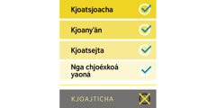 Ño koya kjoanda faʼaitʼa xi tjínnele sʼe̱ná: kjoatsjoacha, kjoanyʼán, kjoatsejta, nga chjoéxkoá yaoná. Kʼoa jngo koya xi tsín tjínnele sʼe̱ná: kjoajticha.