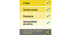 Shuj recuadropica cai cualidadcunatami ricuchin: cꞌuyai, sumaj causai, paciencia, quiquinllataj jarcarina. Shinallataj, shujtajcunata pꞌiñana nishca mana alli cualidadpishmi quillcashca ricurin.