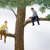 To vrede mænd sidder over for hinanden i et træ på hver sin gren. De er begge i gang med at save den gren af de selv sidder på.