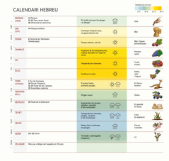 Un gràfic del calendari hebreu que indica els mesos, les festes, el clima i les collites.