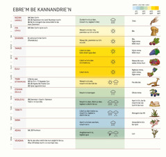 Ebre’m be kannandrie’n niɔn, ɔ kle be anglo mun nin cɛn nga be di be’n, ɔ nin ninnge’m be kpɛlɛ blɛ mun.