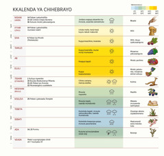 Ccaati yakkalenda ya Chihebrayo iitondezya myezi, mapobwe, ziindi zyamwaka, alimwi azisyango.