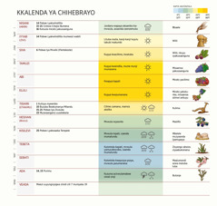 Chaati yakkalenda yamaHebbrayo itondeezya myeezi, mapobwe, bwiime bwakunze azilyo.