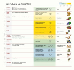 Tchati chosonyeza kalendala ya Chiheberi pomwe pali miyezi, zikondwerero, masiku apadera, nyengo komanso mbewu.