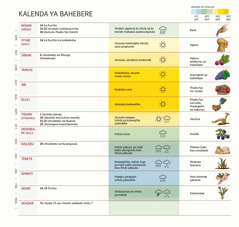 Charti ilelanga kalenda ya baHebere apali imyeshi, imitebeto, imiceele e lyo ne fililimwa.