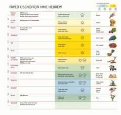 Chart usenọfiọn̄ mme Hebrew emi owụtde se ẹkesitọde, nsio nsio ọfiọn̄, mme ini usọrọ, ini ndaeyo ye ukwọedịm, ye mme ini en̄wen ntre.