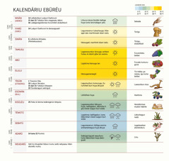 Itarañu tiña meha kalendariu ebüréu le ñein lubéi láfurida hati lani irumu, hafedun ebüréuna, ligaburi dan, luma burí alubahani.