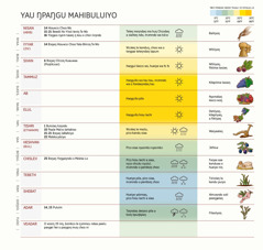 Kɔfoo cho chɔmndo paŋguŋ maHibuluiyoŋ, bɔŋaŋnda ndaa biilaŋ, a teleŋnda ndala yɛ yɛlaŋ.