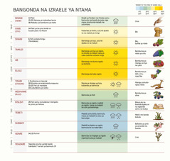 Tableau ke na lakisá bangonda, bafeti, bantangu ya tiya na ya madidi, mpe bima yina ba vandá timuna to kubuka, na Izraele ya ntama.