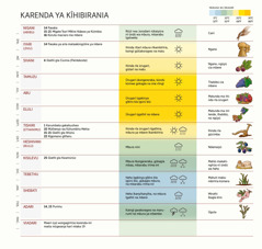 Mũcoro wa karenda ya Kĩhibirania ũronania mĩeri, ikũngũĩro na ciathĩ, ũhoro wĩgiĩ rĩera, na mĩmera.