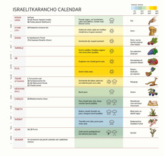 Israelitkaranchea calendar-achem ek chart zantunt mhoine, festam ani porbo, vatavoronn, ani kitem roitale tem dakhoilam.