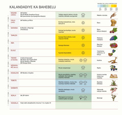 Tabulo wa kalandadiye ka Bahebelu kalombola myeji, mafetyi ne bitatyi, mukabilo wa kūlu, ne mwangulo.