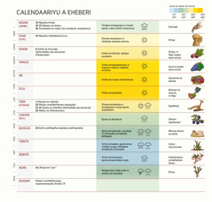 Elista ya kalendariyu a hebraiku silempwevo nyeri, ifesta ni soowehaweha, etempu yoolima ni ohepha.