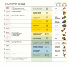 Cati ikulangilila kalenda ya Ciebele apali imyezi, kuzevya kuno yazevyanga, imiceele, ni vizao.