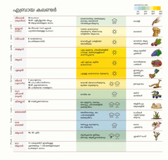 മാസങ്ങൾ, ആഘോഷങ്ങൾ, കാലാവസ്ഥ, വിളകൾ എന്നിവ കാണിക്കുന്ന ഒരു എബ്രായ കലണ്ടർ.