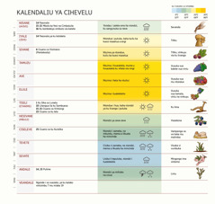 Cifua ca va kele na ku tandangamo vingode mu kalendalio ka vaIsaleli, viuano na vilika, ntsimbu ya muaka na ntsimbu ya ku lima.